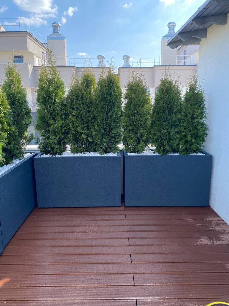 Vazoane stradale Chișinău